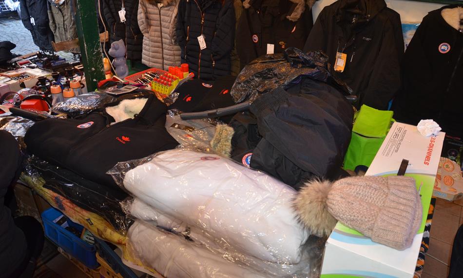 2014-11-20-137Canadian Goose 6.JPG